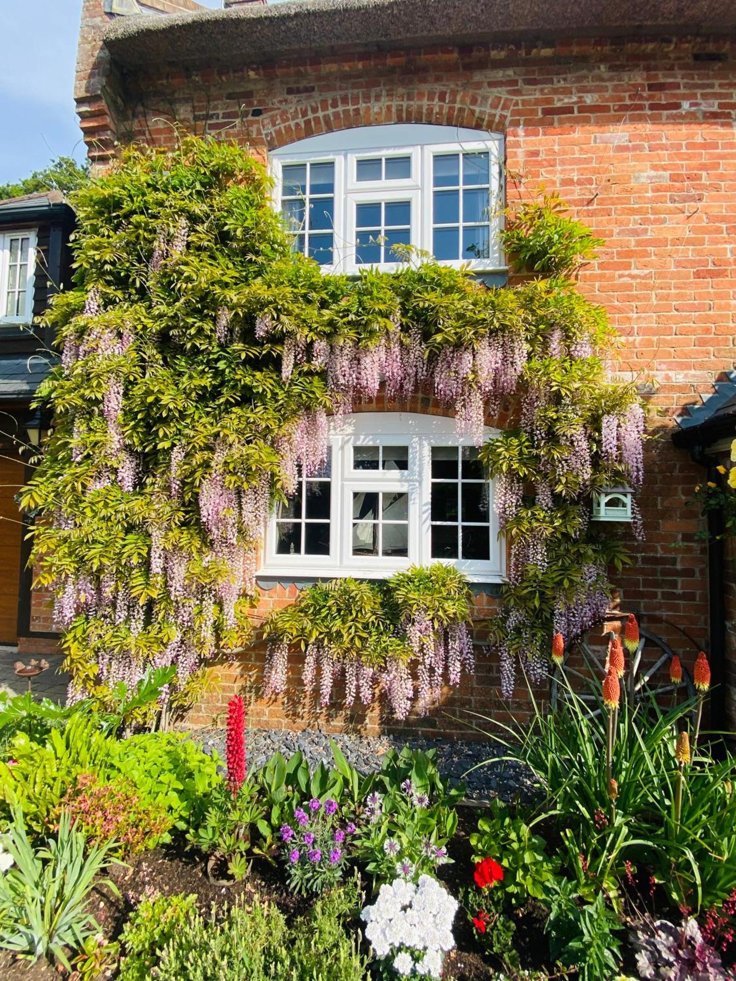 ניו מילטון Little Woodside A Beautiful New Forest Self Contained Private Luxury Annexe מראה חיצוני תמונה
