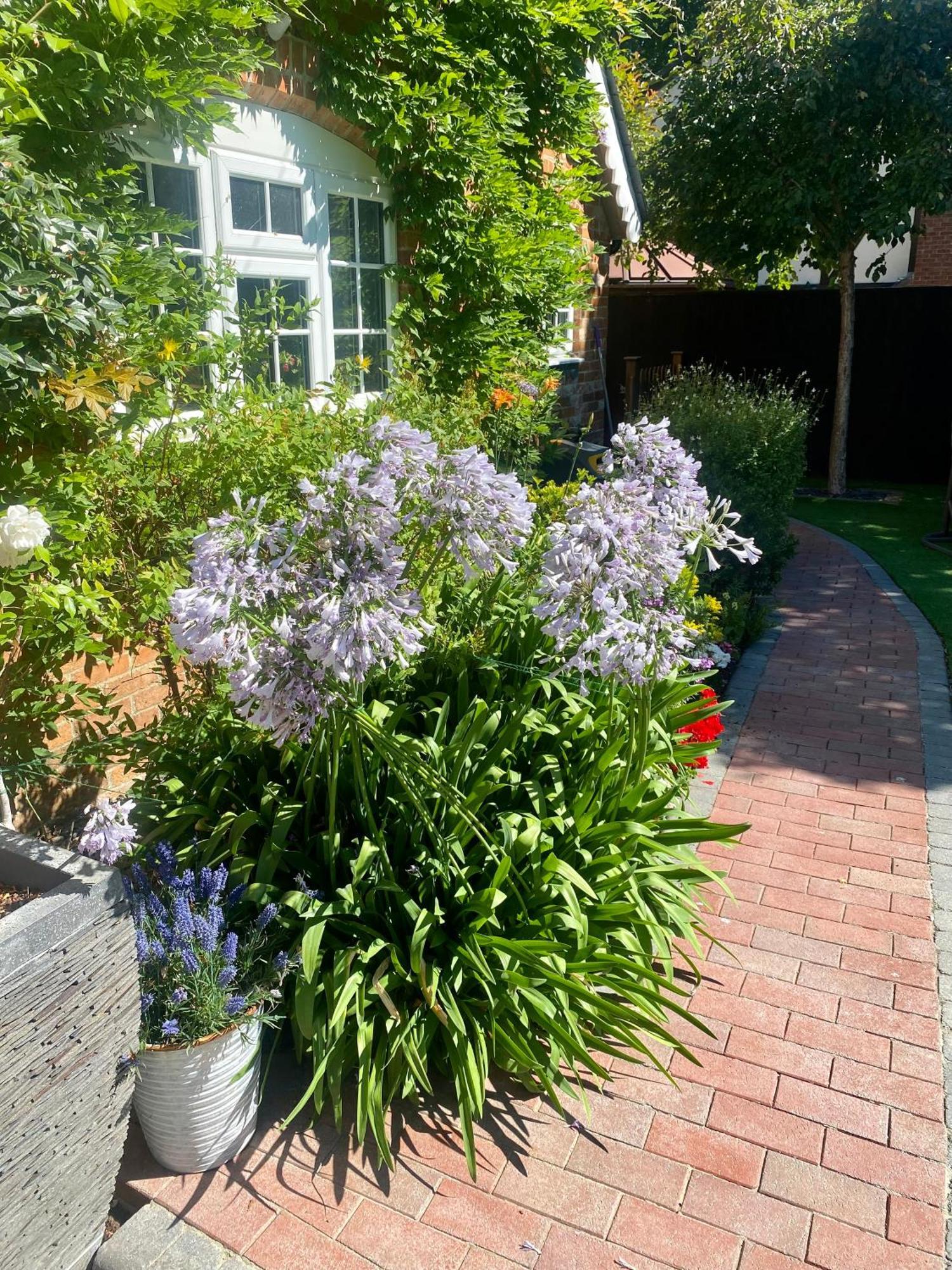 ניו מילטון Little Woodside A Beautiful New Forest Self Contained Private Luxury Annexe מראה חיצוני תמונה